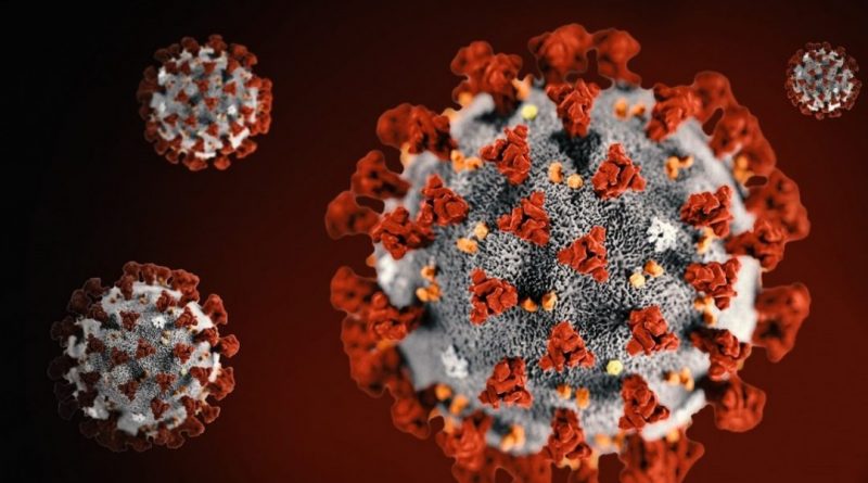 A vírusok atombombaként való kezelése segítene megelőzni a járványokat