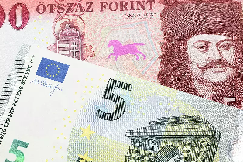 Az euró magyarországi bevezetése napirendre került, programmá emelkedett