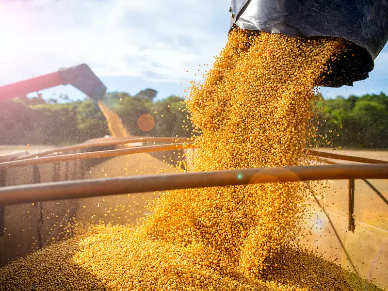 Ukrajna szerint Oroszország több százezer tonna gabonát ellopott