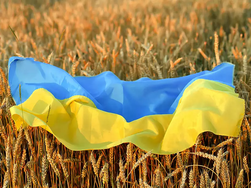 Magyarország útvonalat biztosítana az ukrán gabonaexportnak