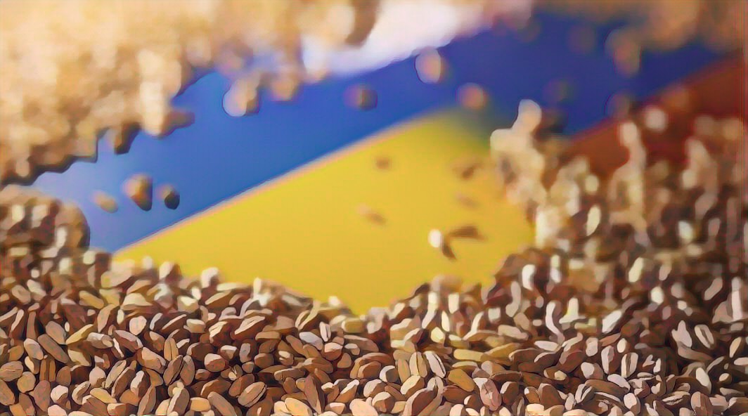 Jelentősen visszaesik a betakarított gabona mennyisége Ukrajnában az idén