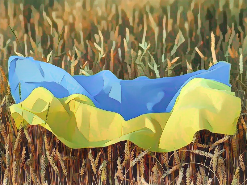 Sokkal nagyobb lehet Ukrajnában az idei gabonatermés, mint korábban jósolták