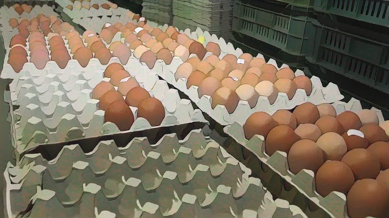 Ezért gondolják sokan, hogy a tojás is árstopos lesz
