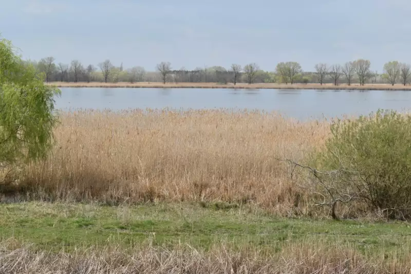 Egy kiemelt természeti értékű magyarországi tó medrét állítják helyre