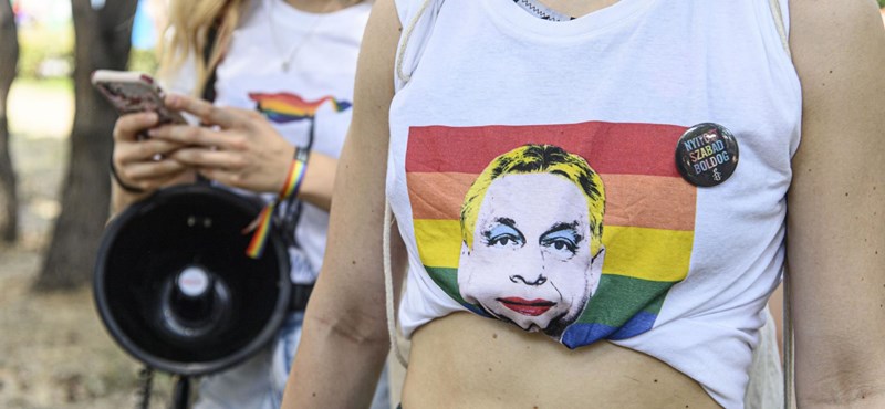 Ipsos: A világ nagy része támogatja a melegházasságot, Magyarországon alig látható az LMBT+ közösség