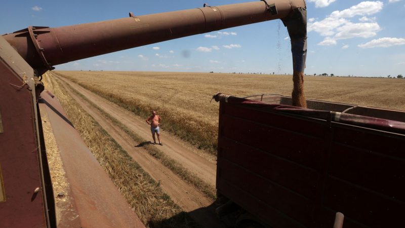 Áremelkedést, az oroszoknak nagyobb hasznot hozhat, hogy a Kreml felmondta a gabonaegyezményt