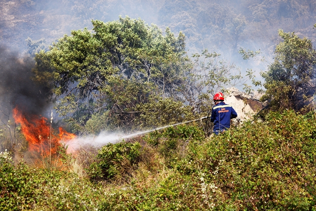 Dél-Európa felperzselt föld, elkeseredett küzdelem zajlik az erdőtüzek ellen – fotók