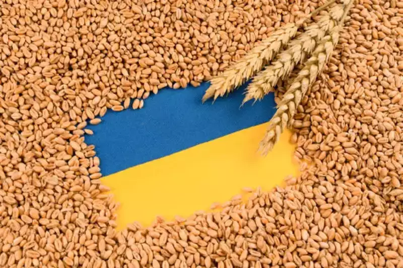 Zelenszkij hallani sem akar az ukrán gabonaimport tilalmának meghosszabbításáról