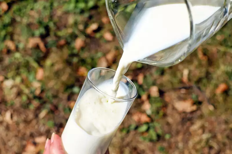 Magyar eredetű a Romániába érkező import tej többsége