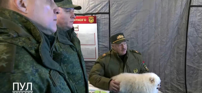 A belarusz elnök kutyát simogatva vizionál a lengyelek megtámadásáról, de Putyin most „szamárságnak” tartaná ezt